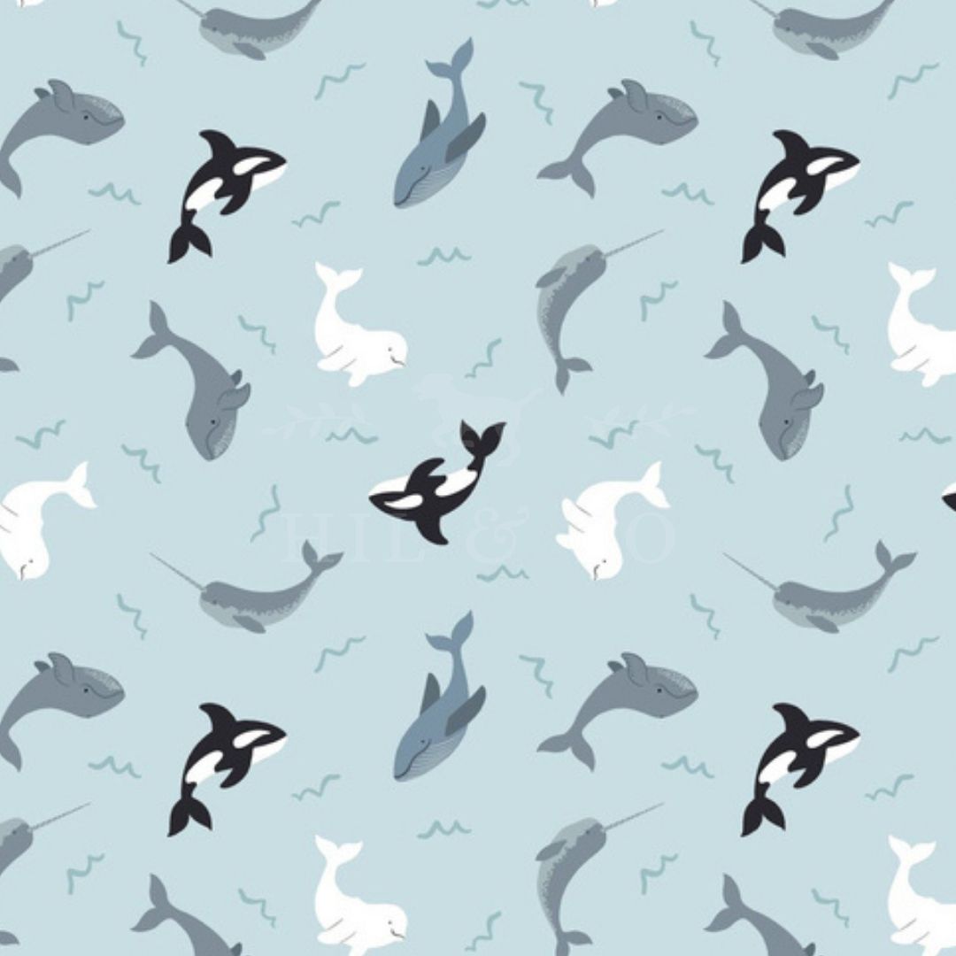 Arctic Whales Scrub Cap (Light Blue)