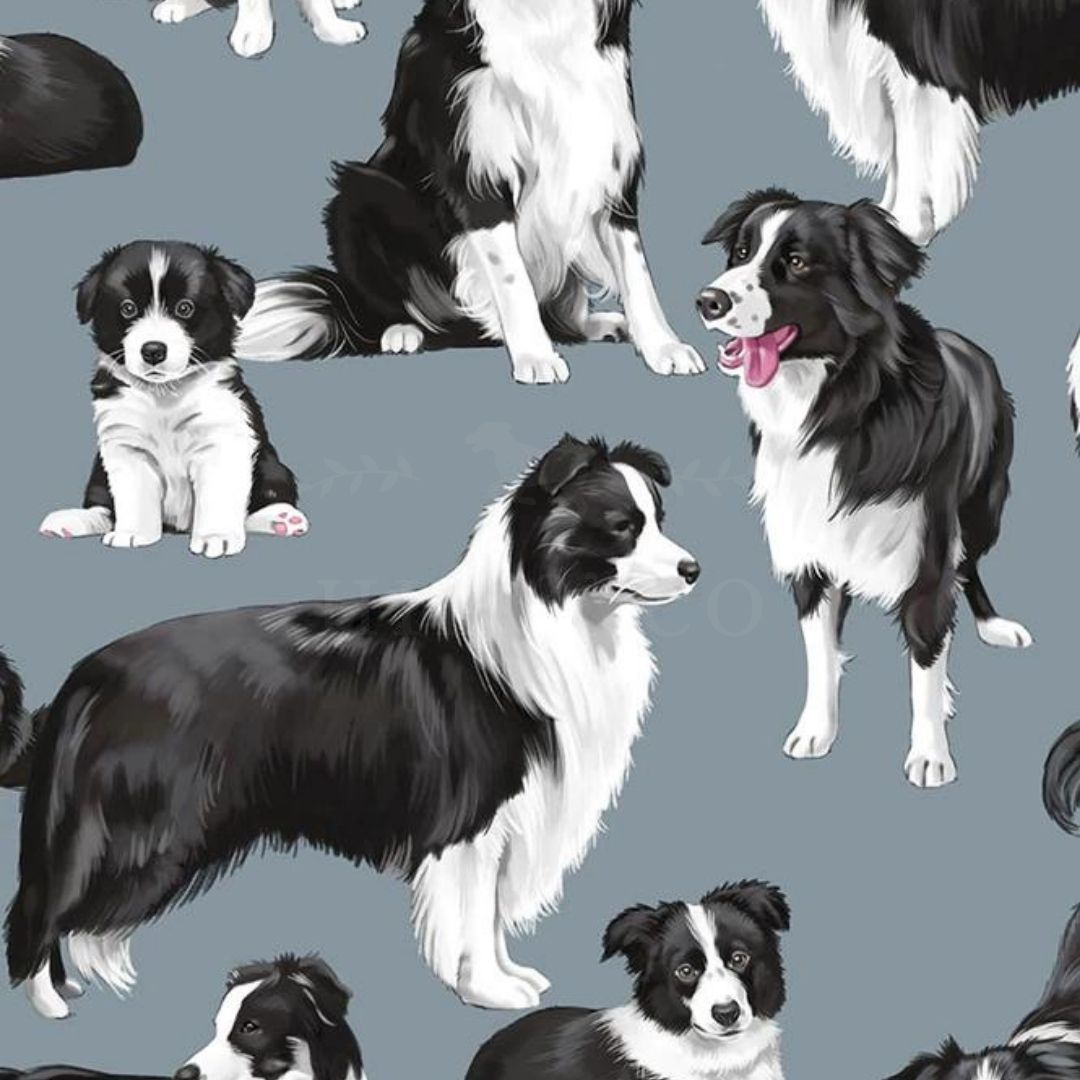 Border Collies Scrub Cap