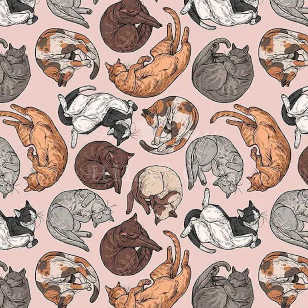 Cat Nap Scrub Cap