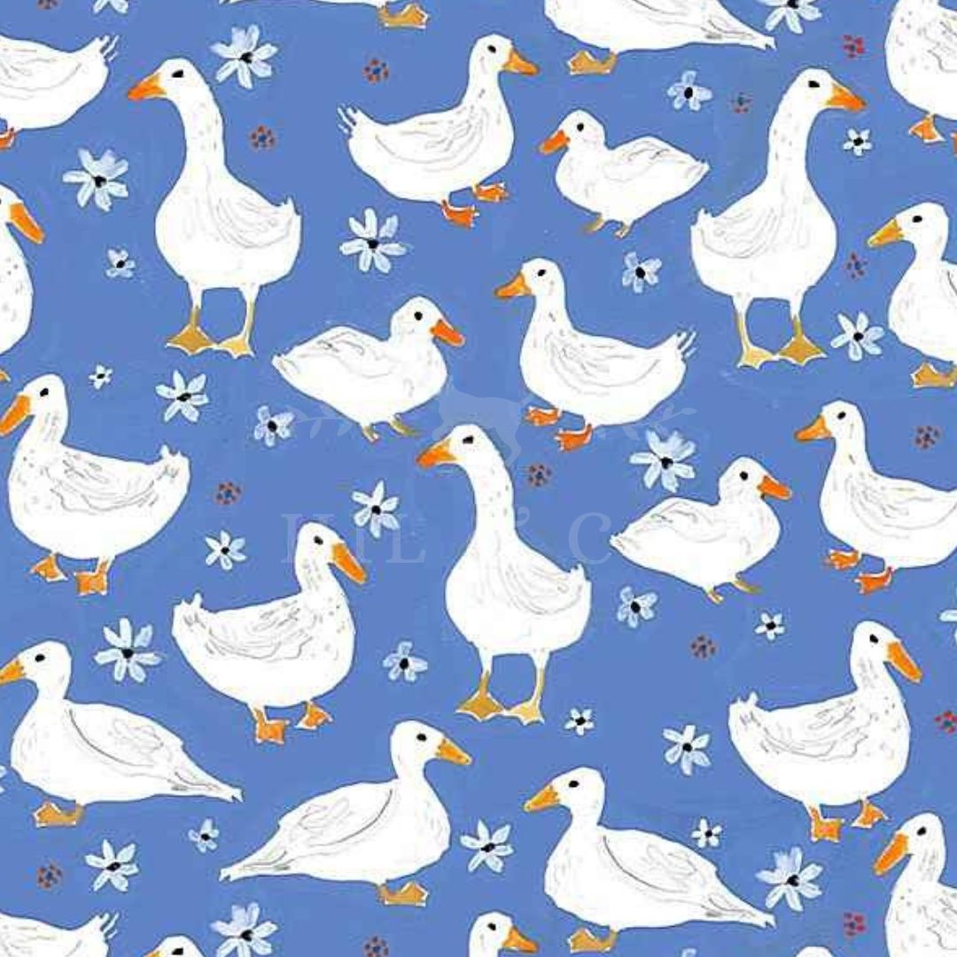 Ducks & Daisies Scrub Cap