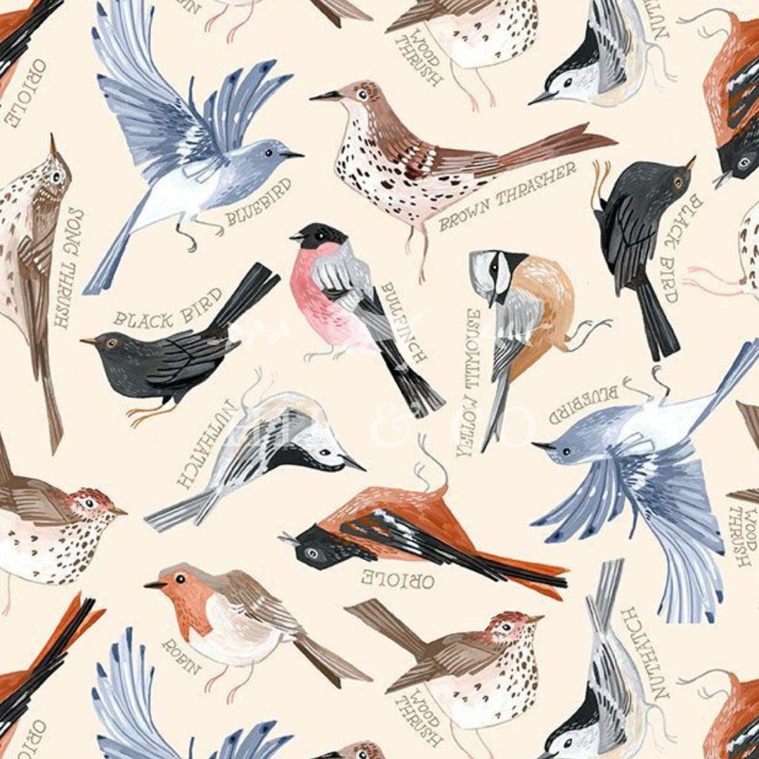 Ornithology Scrub Cap