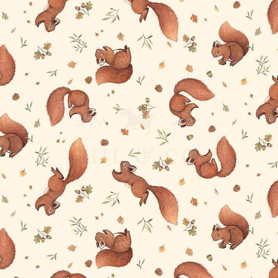 Red Squirrels Scrub Cap