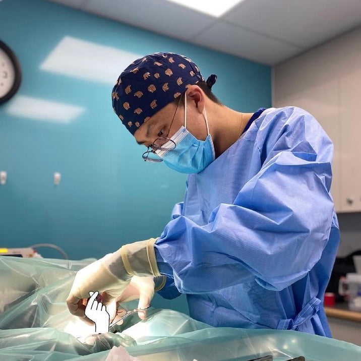 Paw Prints Scrub Cap (Blue)