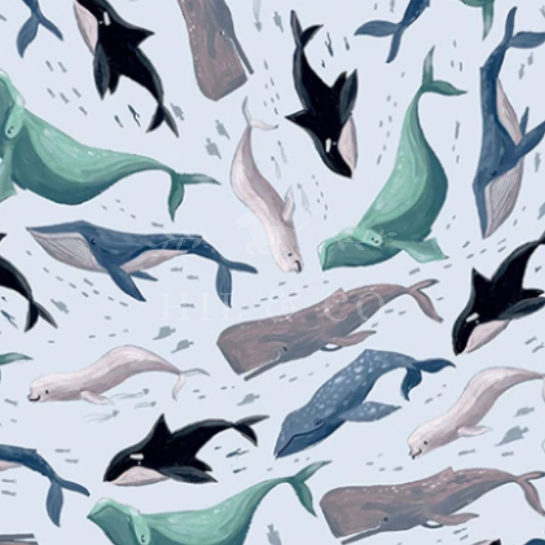 Whale Surf Scrub Cap (Light Blue)